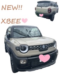 新型クロスビー試乗車ございます！